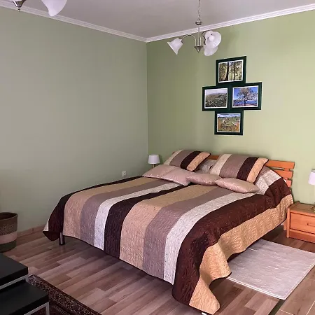 Csalogany Vendeghaz Apartamento *